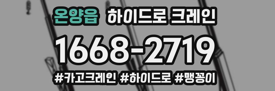 온양읍 하이드로 크레인