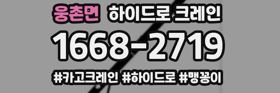 웅촌면 하이드로 크레인