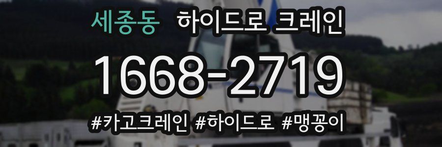 세종동 하이드로 크레인