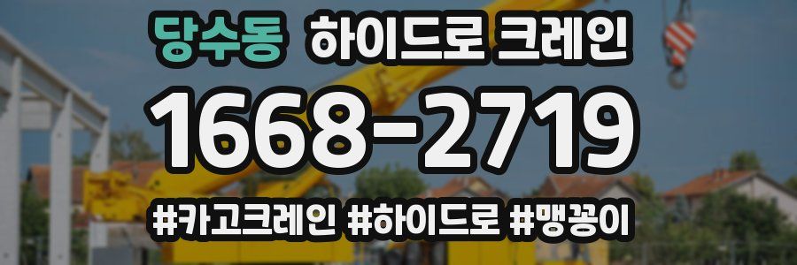 당수동 하이드로 크레인