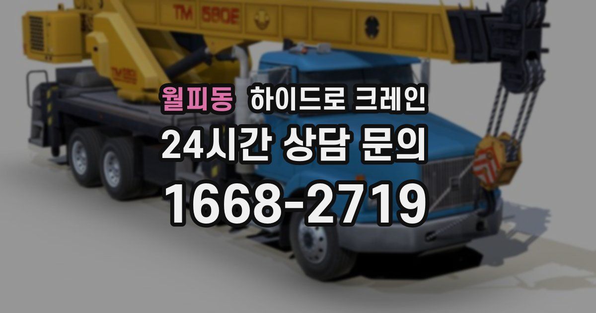 월피동 하이드로 크레인