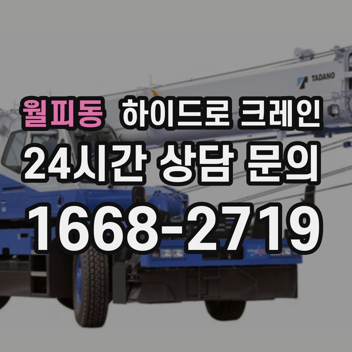 월피동 하이드로 크레인
