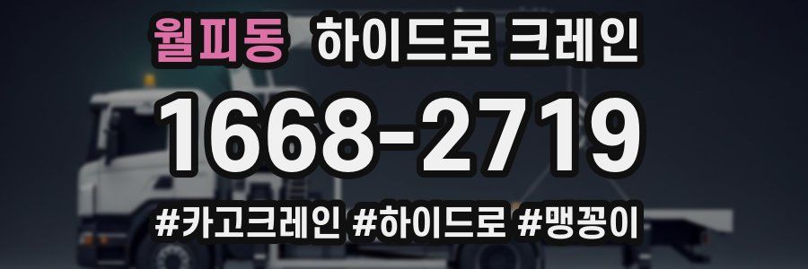 월피동 하이드로 크레인