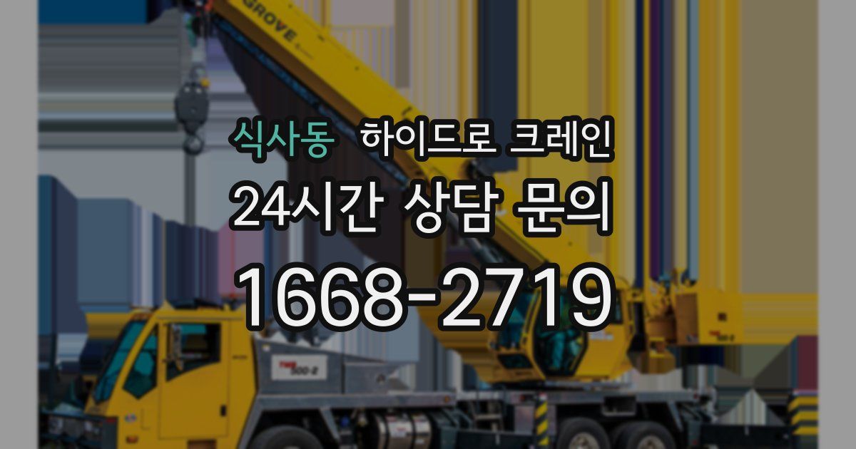 식사동 하이드로 크레인