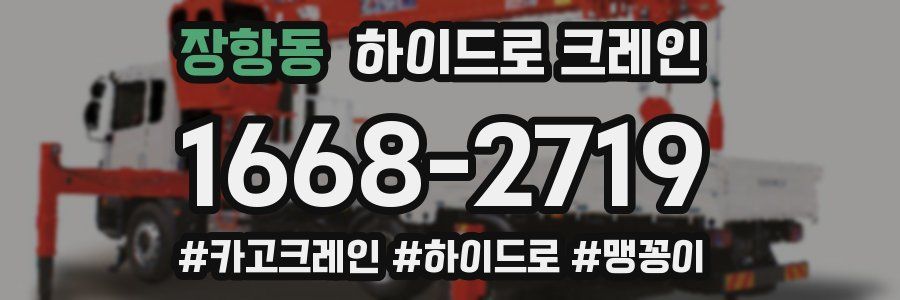 장항동 하이드로 크레인