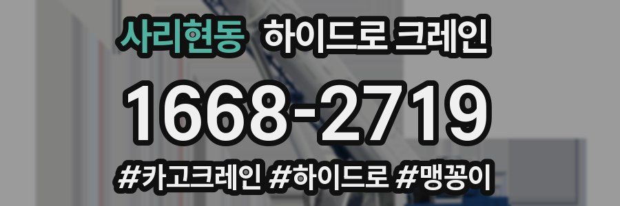 사리현동 하이드로 크레인