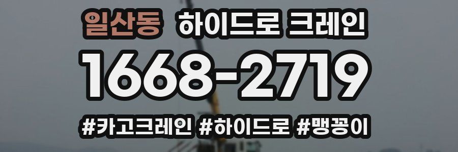 일산동 하이드로 크레인