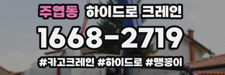 주엽동 하이드로 크레인