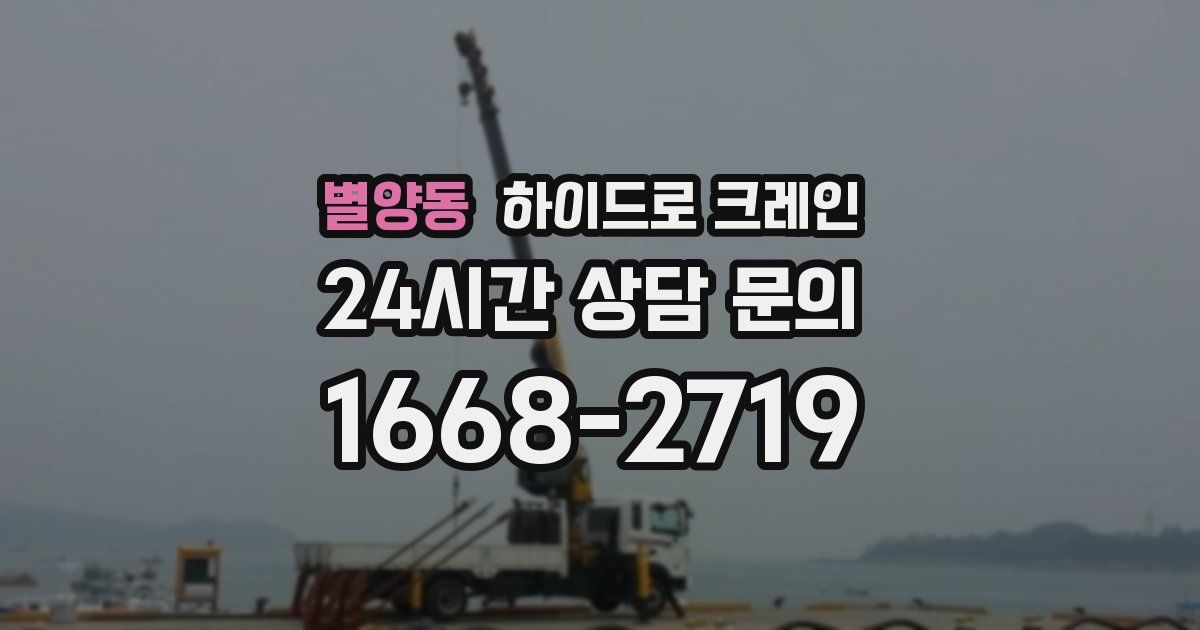 별양동 하이드로 크레인