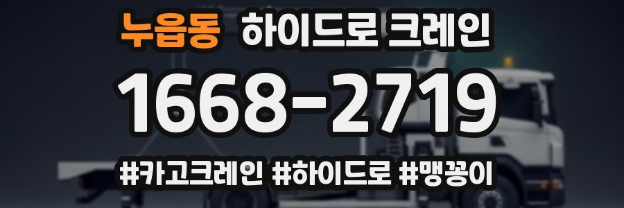 누읍동 하이드로 크레인