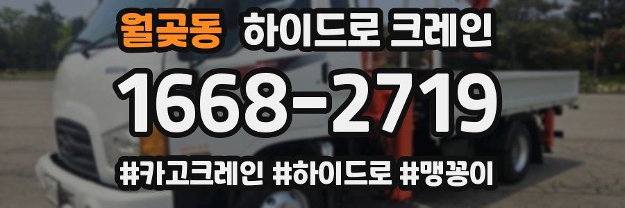 월곶동 하이드로 크레인