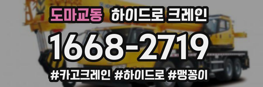 도마교동 하이드로 크레인