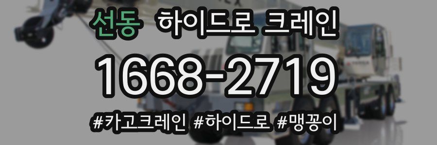 선동 하이드로 크레인