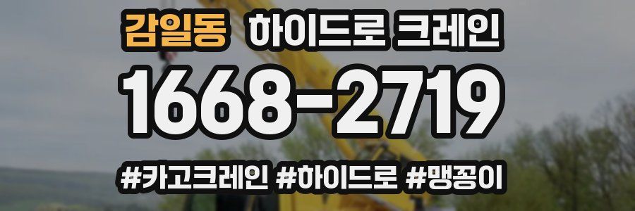 감일동 하이드로 크레인