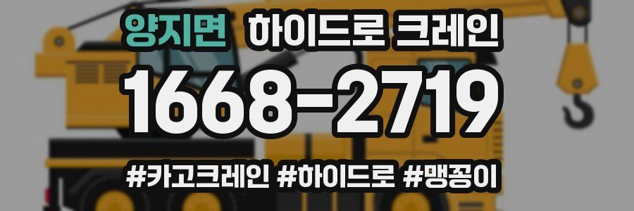 양지면 하이드로 크레인