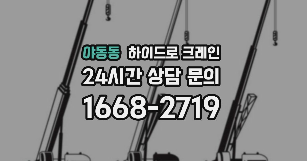야동동 하이드로 크레인
