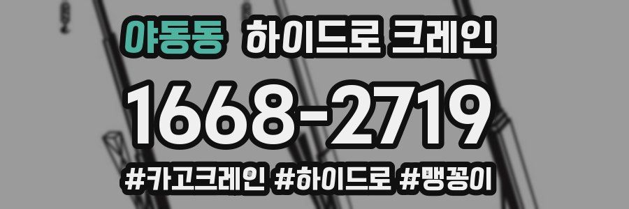 야동동 하이드로 크레인