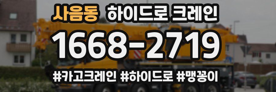 사음동 하이드로 크레인