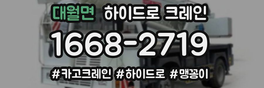 대월면 하이드로 크레인