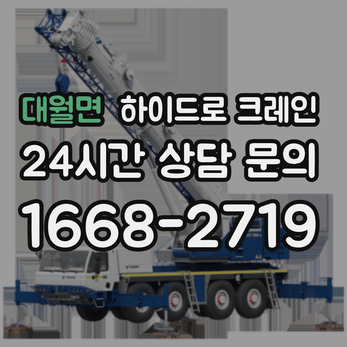 대월면 하이드로 크레인