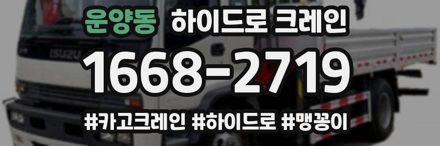 운양동 하이드로 크레인