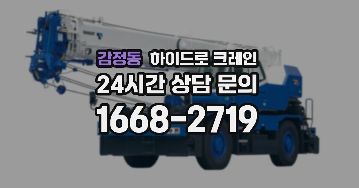 감정동 하이드로 크레인