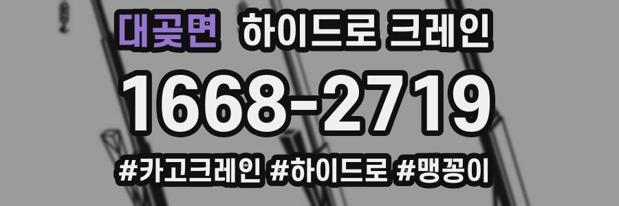 대곶면 하이드로 크레인