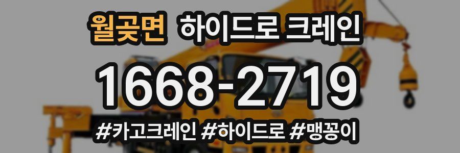 월곶면 하이드로 크레인