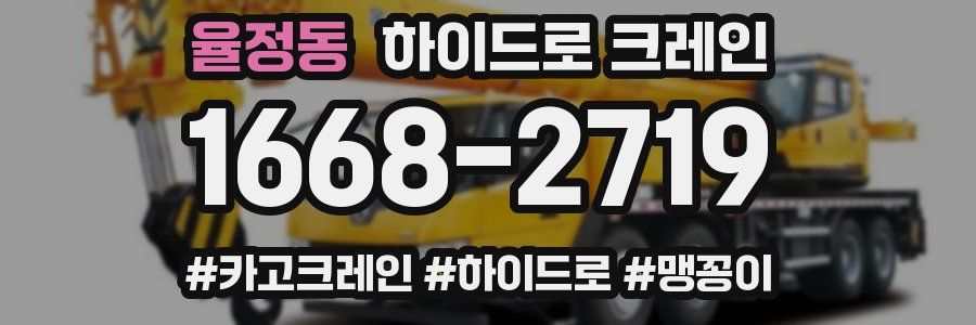 율정동 하이드로 크레인