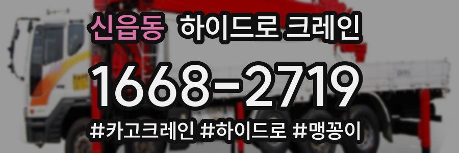 신읍동 하이드로 크레인
