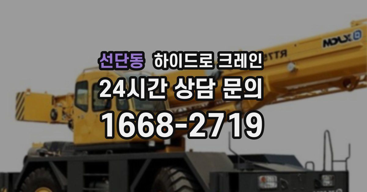 선단동 하이드로 크레인