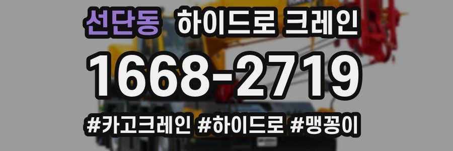 선단동 하이드로 크레인