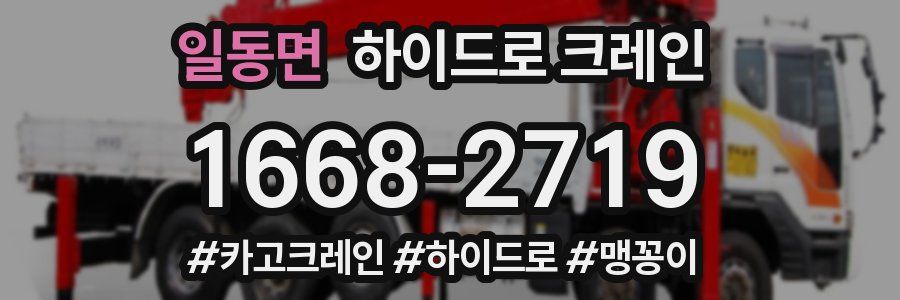 일동면 하이드로 크레인