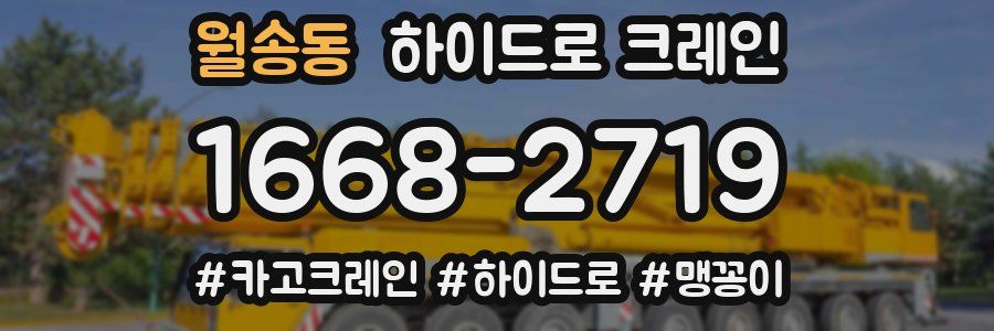 월송동 하이드로 크레인
