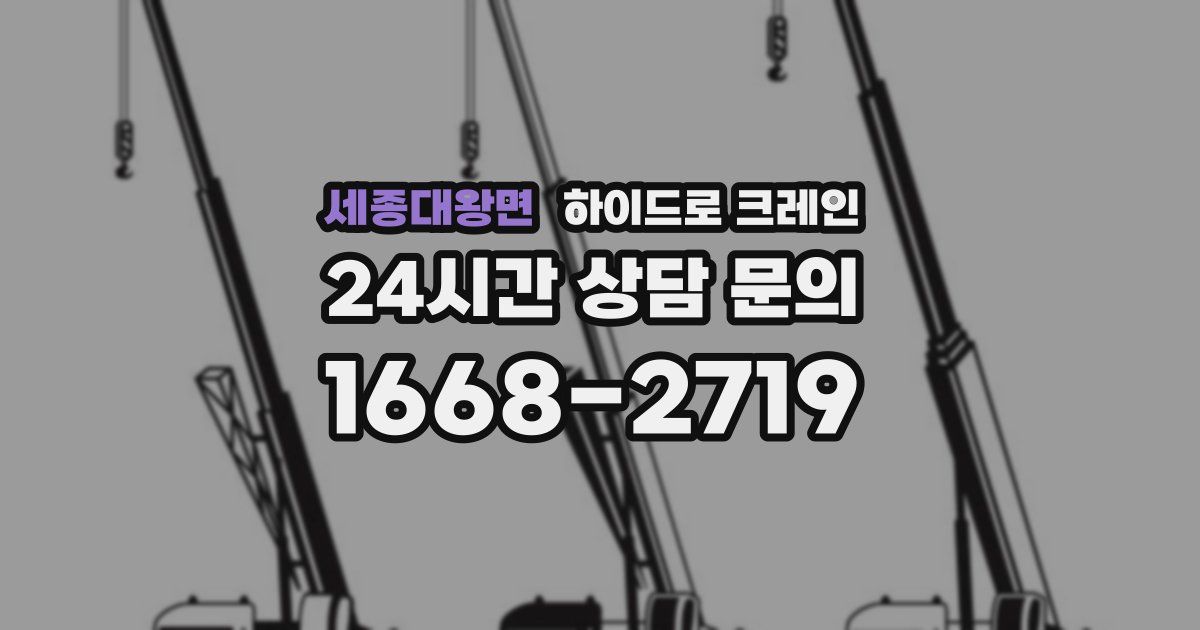 세종대왕면 하이드로 크레인