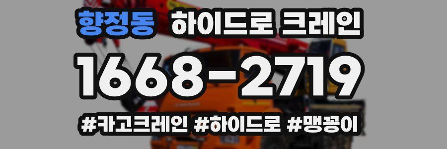 향정동 하이드로 크레인