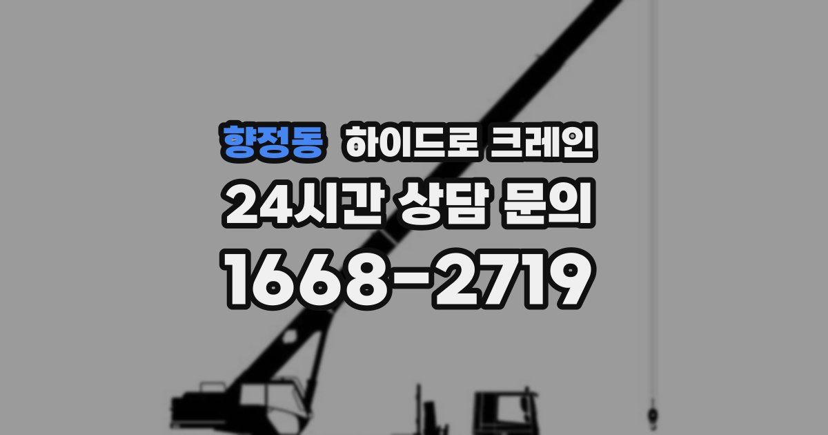 향정동 하이드로 크레인
