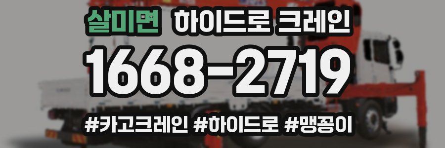 살미면 하이드로 크레인