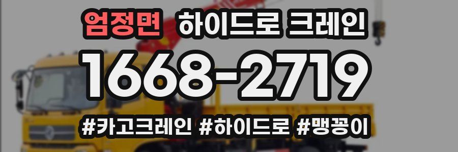 엄정면 하이드로 크레인