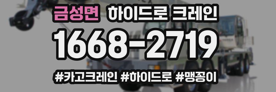금성면 하이드로 크레인