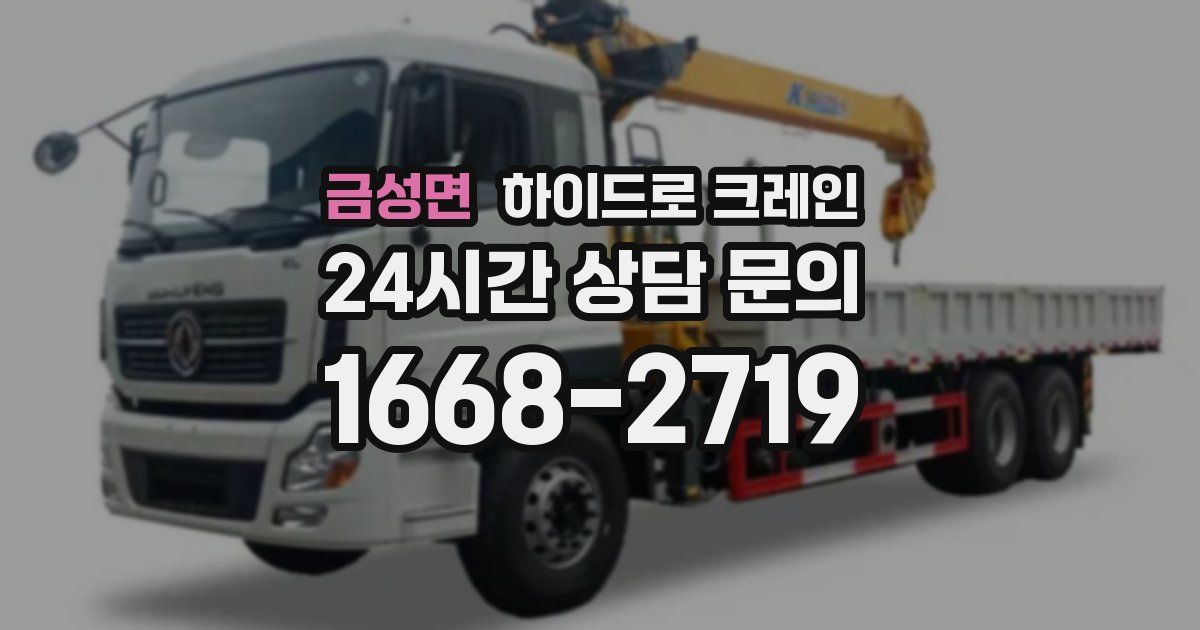 금성면 하이드로 크레인