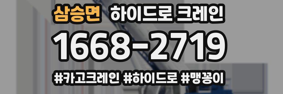 삼승면 하이드로 크레인