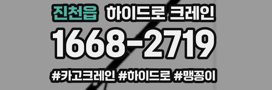 진천읍 하이드로 크레인