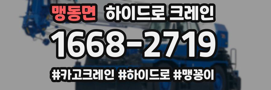 맹동면 하이드로 크레인