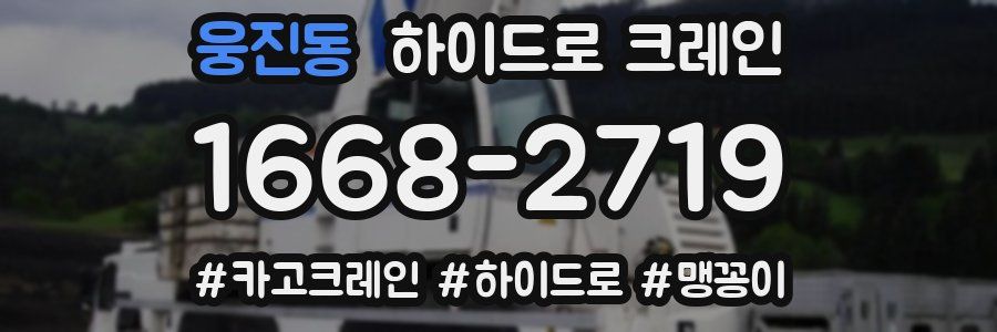 웅진동 하이드로 크레인
