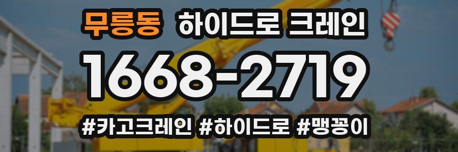 무릉동 하이드로 크레인