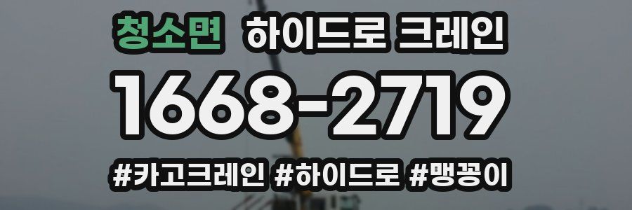 청소면 하이드로 크레인