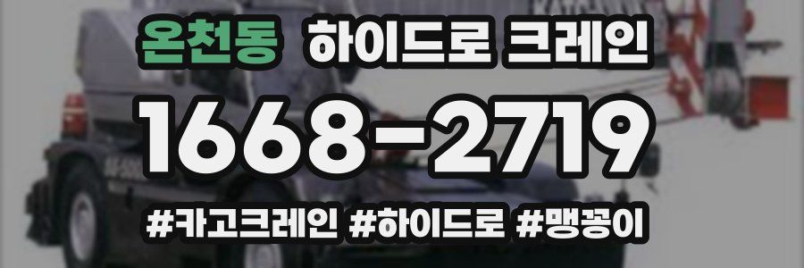 온천동 하이드로 크레인