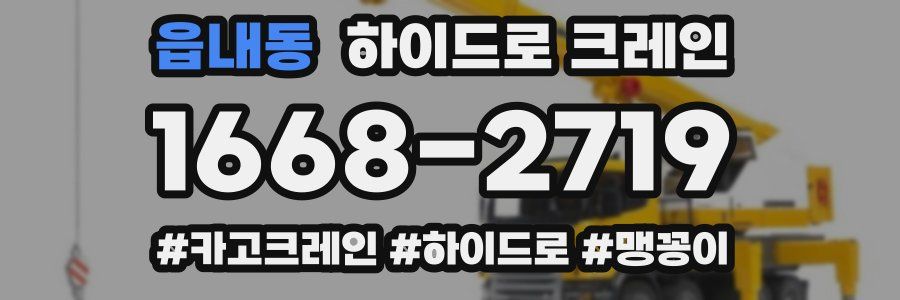 읍내동 하이드로 크레인