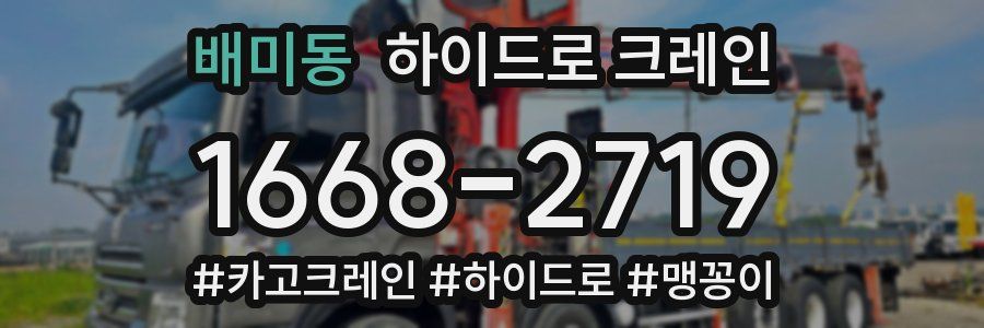 배미동 하이드로 크레인